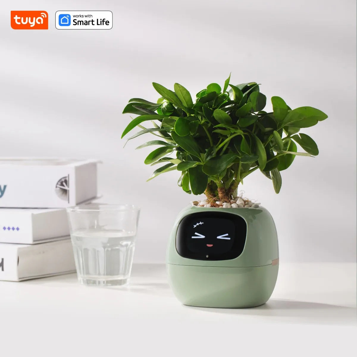 Tuya Ivy Smart Planter,Endless Fun over 49 Rich Expressions,7 Smart Sensors,Ai Chips Make Raising Plants Easy and Fun